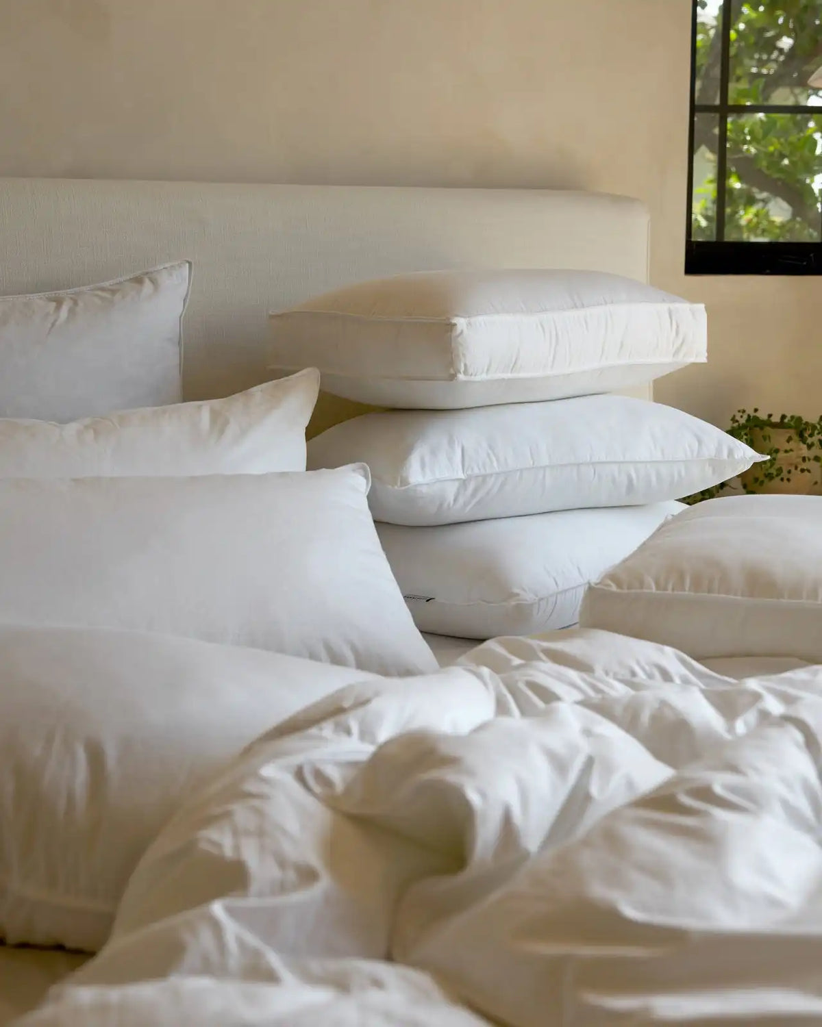Down Pillow Bundle