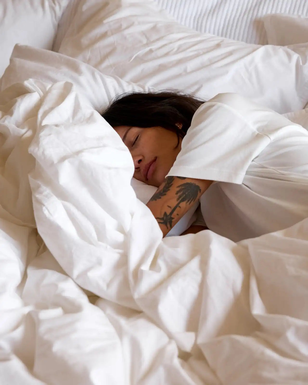 Percale Sheet Set - White TW/XL