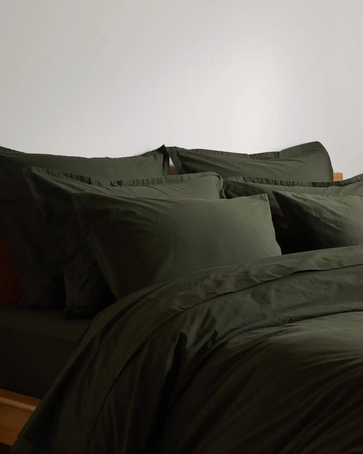 Brushed Cotton Euro Sham (Evergreen)