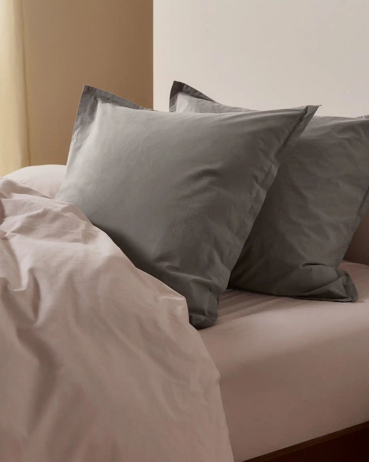 Brushed Cotton Euro Sham (Pebble)
