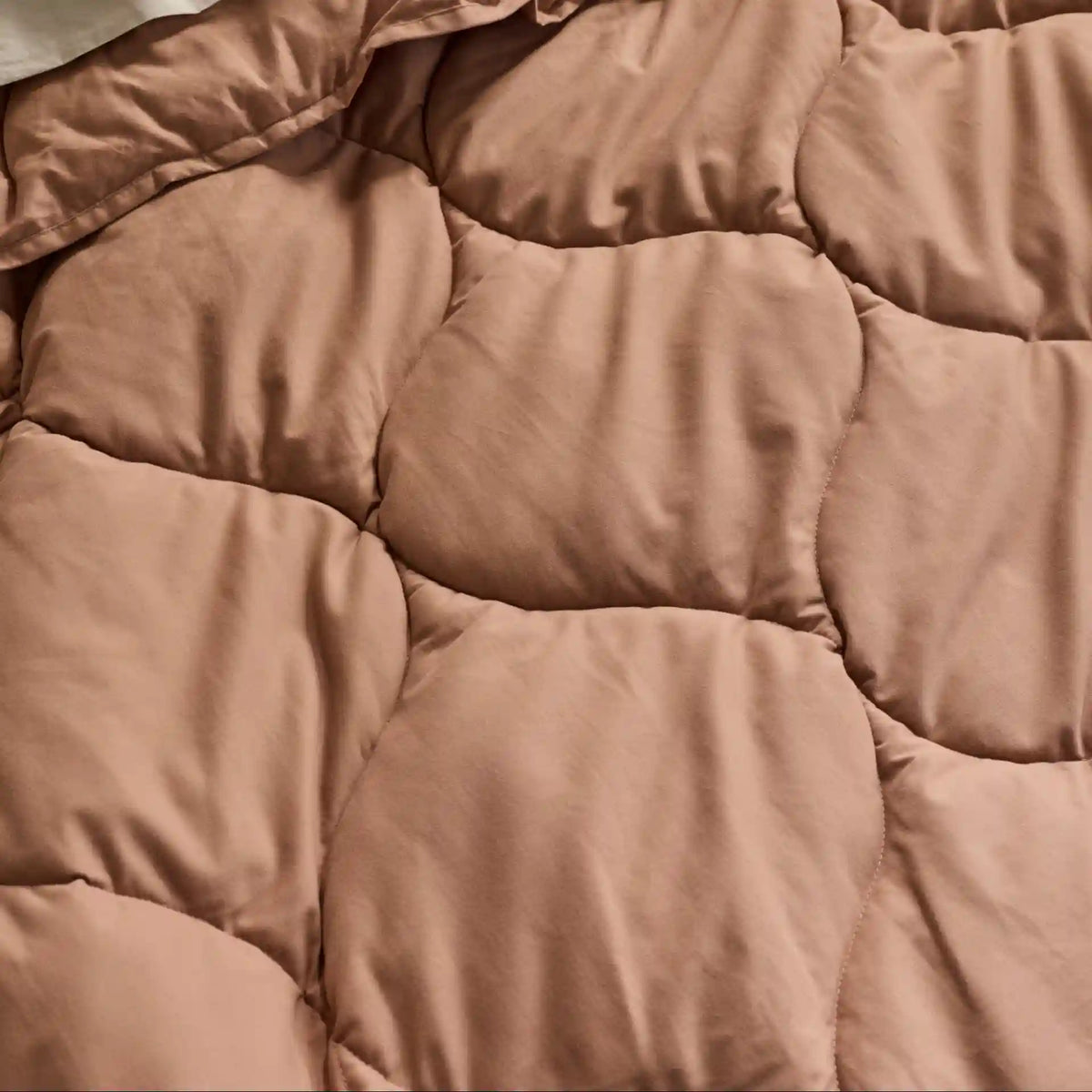 Cotton Drift Comforter (Adobe)