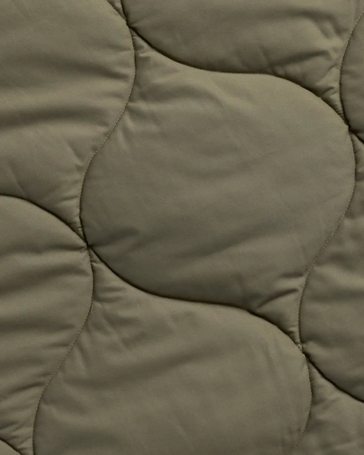 Cotton Drift Comforter (Thyme)