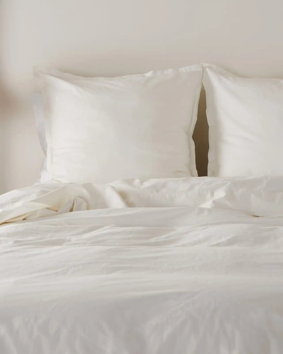 Percale Euro Sham (Cream)